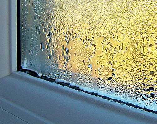 Конденсат на пластиковых окнах: причины и методы борьбы